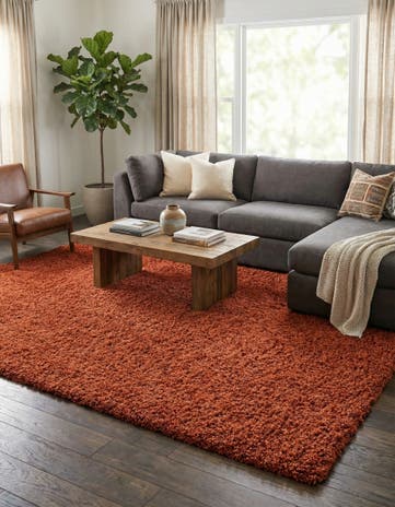 10' x 13' Solid Shag Rug