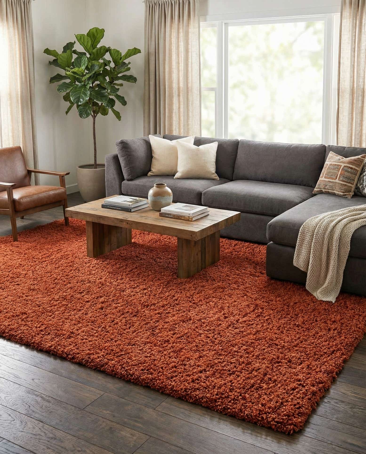 10' x 13' Solid Shag Rug