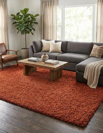 10' x 13' Solid Shag Rug