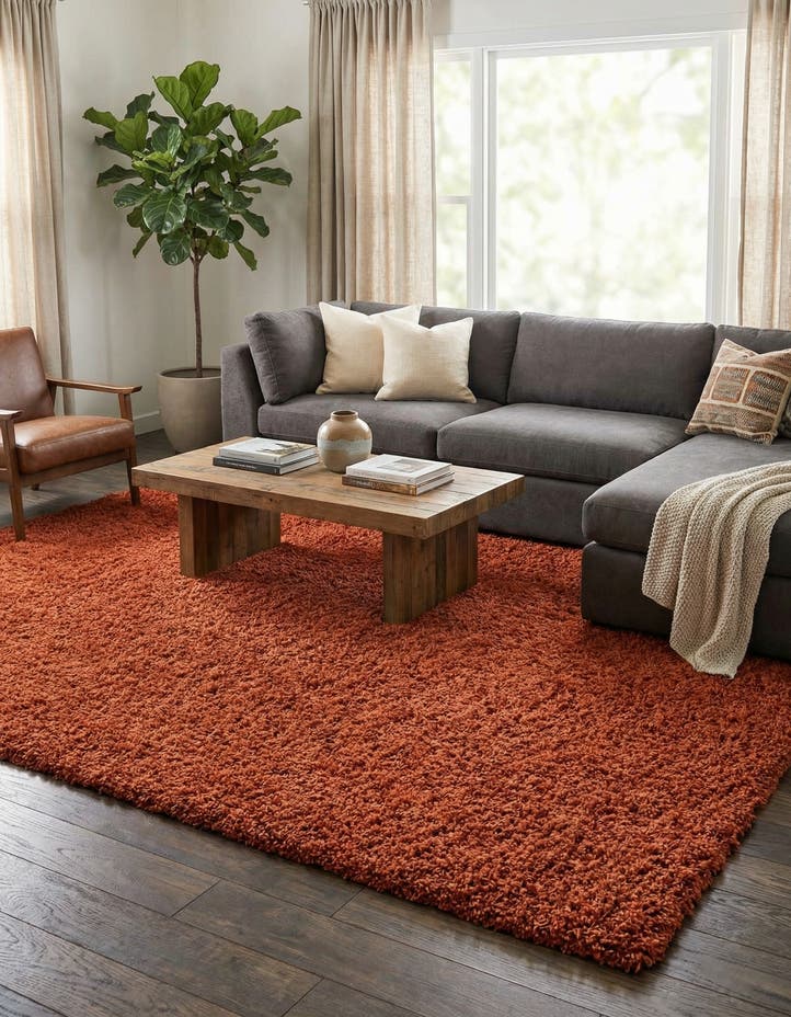 10' x 13' Solid Shag Rug