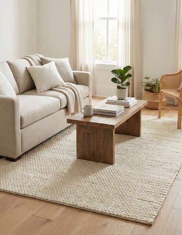 4' 1 x 6' 1 Hand Woven Lana New Zealand Wool Rug