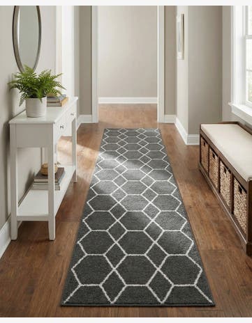 2' x 8' Trellis Frieze Runner Rug