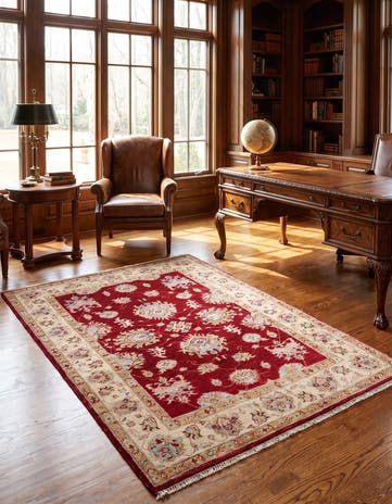 4' 1 x 6' 1 Hand Knotted Ariana Ziegler Rug