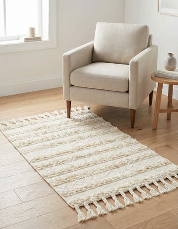 3' 3 x 5' 1 Hand Woven Arizona Wool Rug