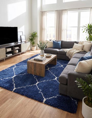 9' x 12' Moroccan Shag Rug