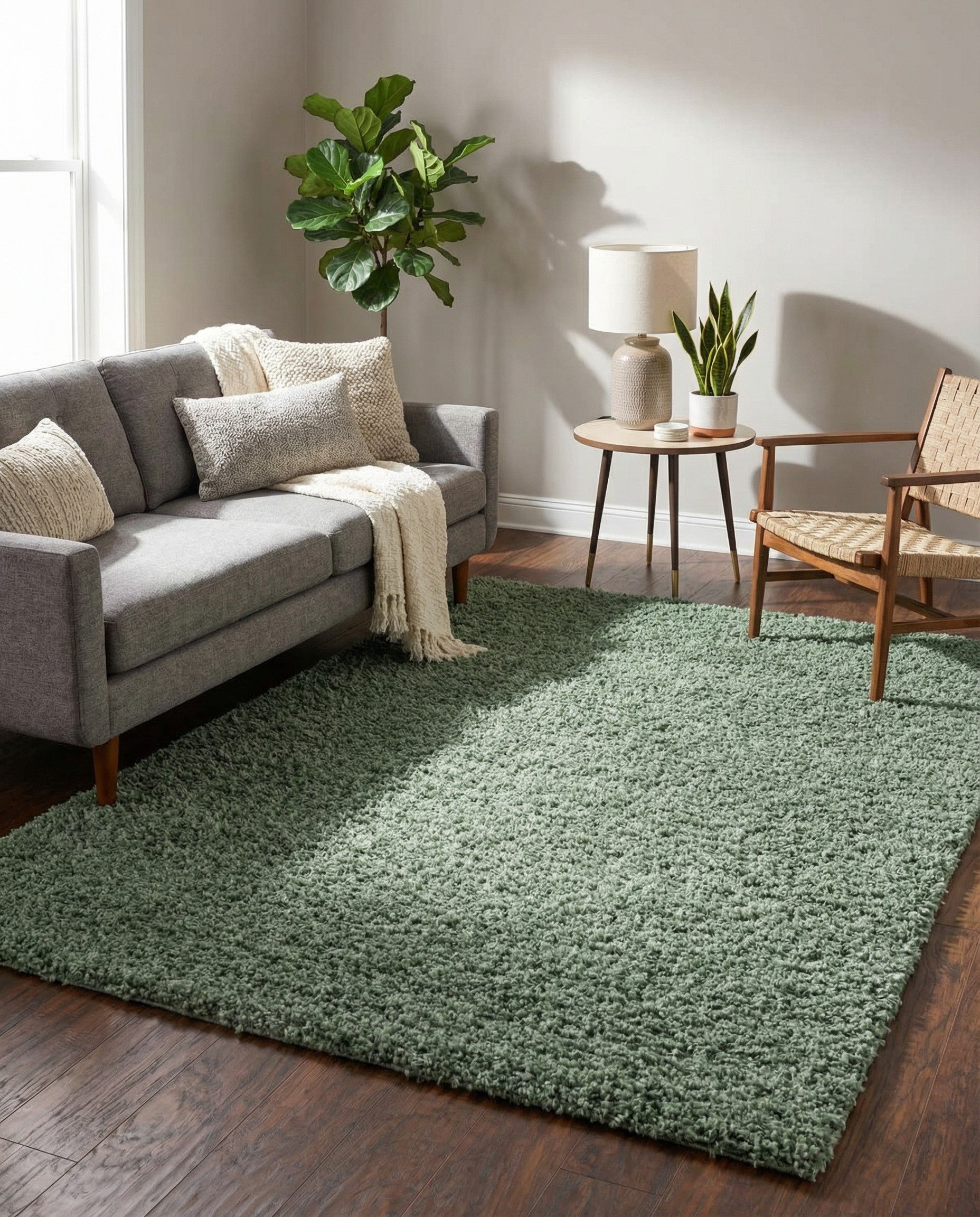 6' x 9' Zermatt Shag Rug