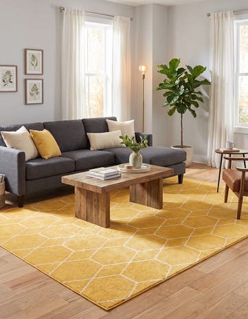 9' x 12' Lattice Frieze Rug