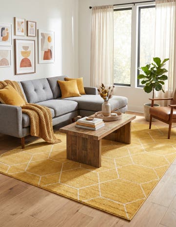 7' 10 x 10' Lattice Frieze Rug