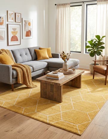 7' 10 x 10' Lattice Frieze Rug