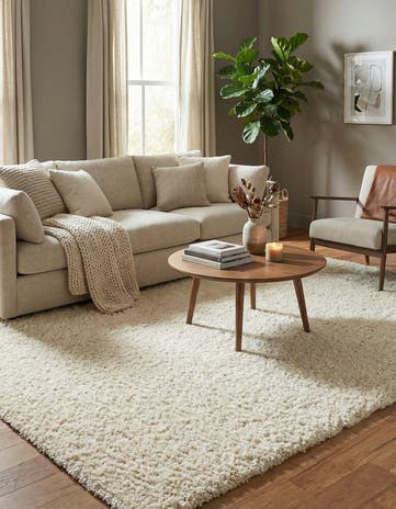 8' x 10' Infinity Shag Rug