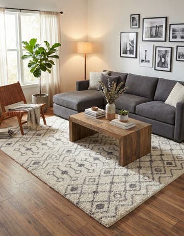 9' x 12' Moroccan Trellis Shag Rug