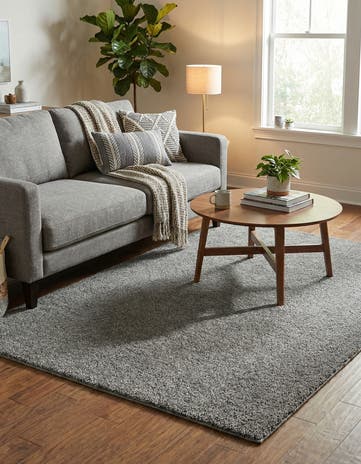 6' x 9' Solid Frieze Rug