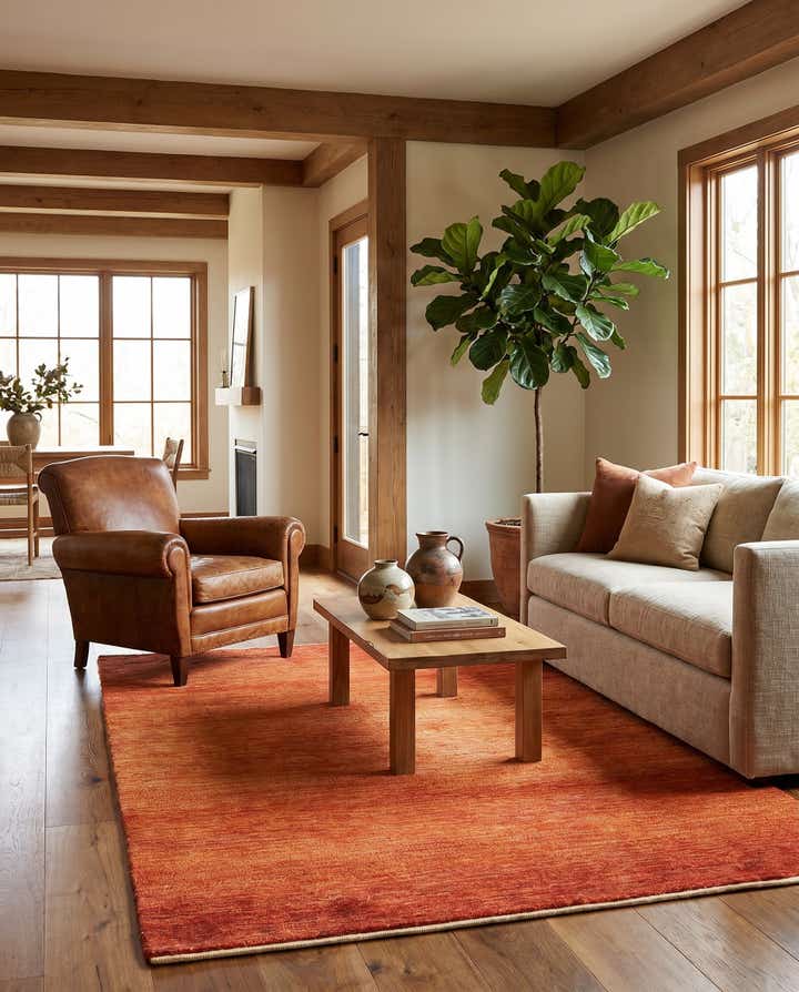 4' 1 x 6' Amaleh Wool Rug