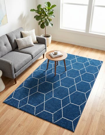 5' 3 x 8' Lattice Frieze Rug
