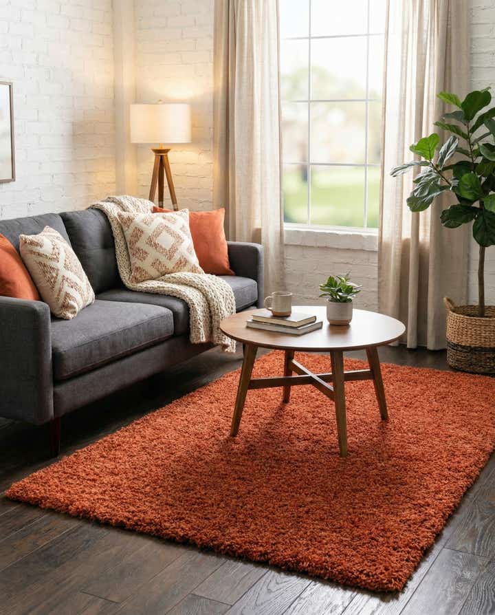 5' 3 x 7' Solid Shag Rug