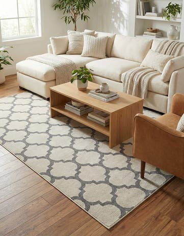 7' 10 x 11' Lattice Rug