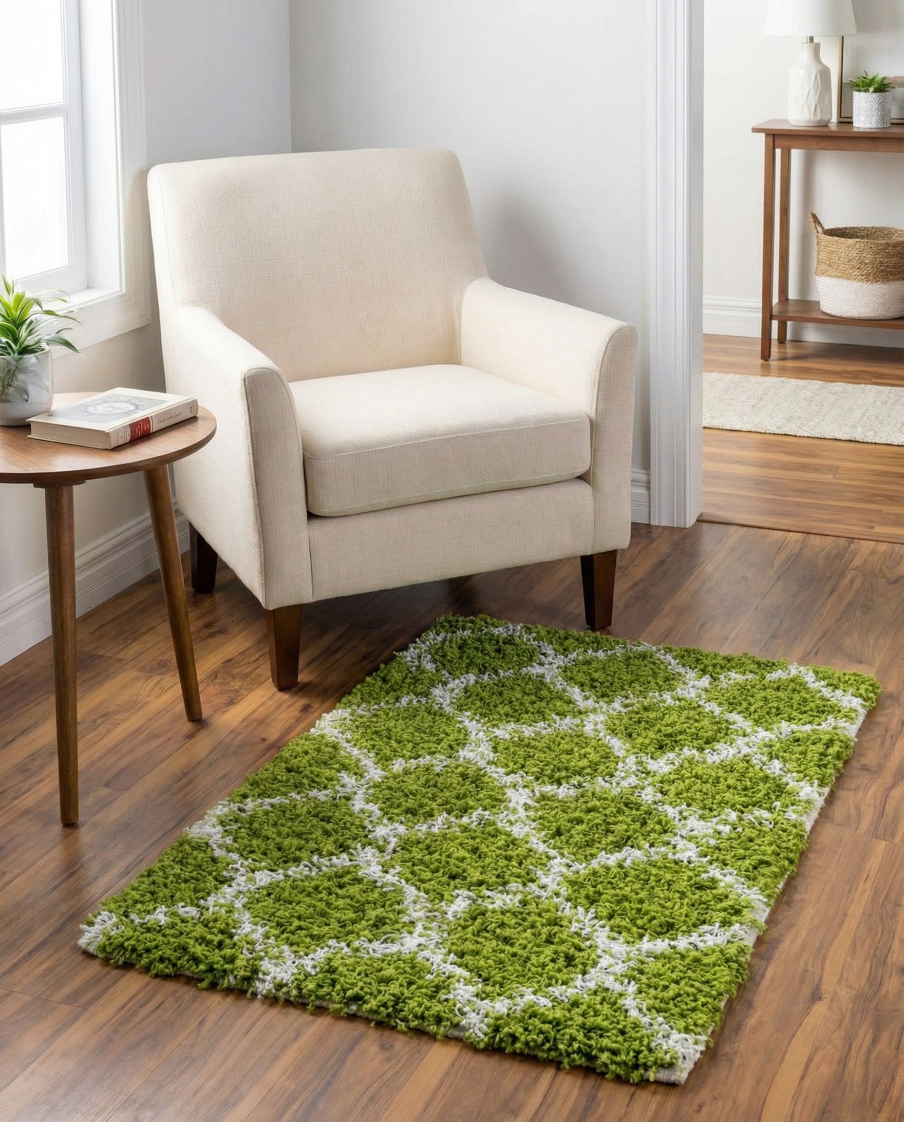 2' x 3' Trellis Shag Rug