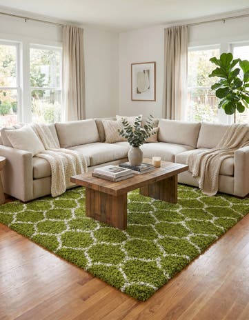 10' x 13' Lattice Shag Rug