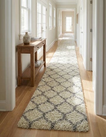 3' 3 x 16' 5 Lattice Shag Runner Rug
