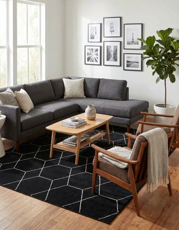 7' 10 x 11' Lattice Frieze Rug