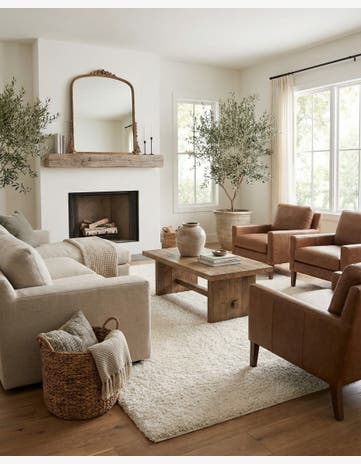 Snow White Solid Shag Rug