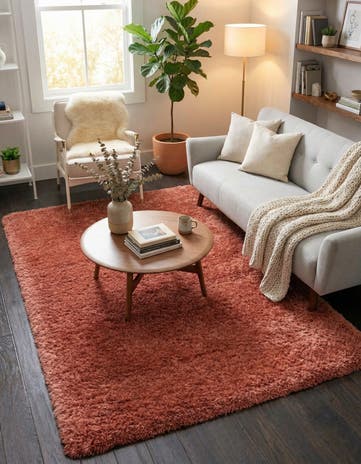 Vintage Rose Infinity Shag Rug