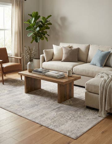 Gray Restoration Rug