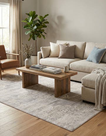 Gray Restoration Rug