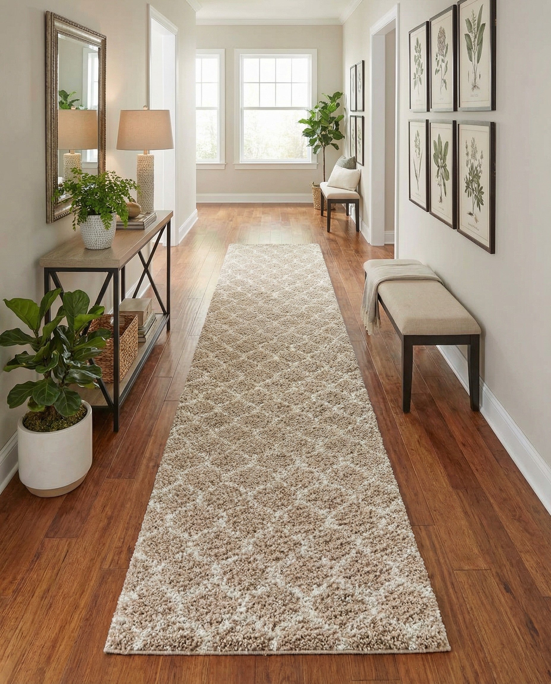 3' 3 x 16' 5 Trellis Shag Runner Rug