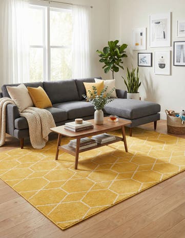 9' x 12' Lattice Frieze Rug