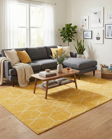  9' x 12' Lattice Frieze Rug