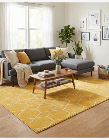 9' x 12' Trellis Frieze Rug