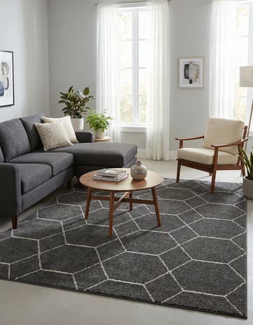 7' 10 x 10' Trellis Frieze Rug