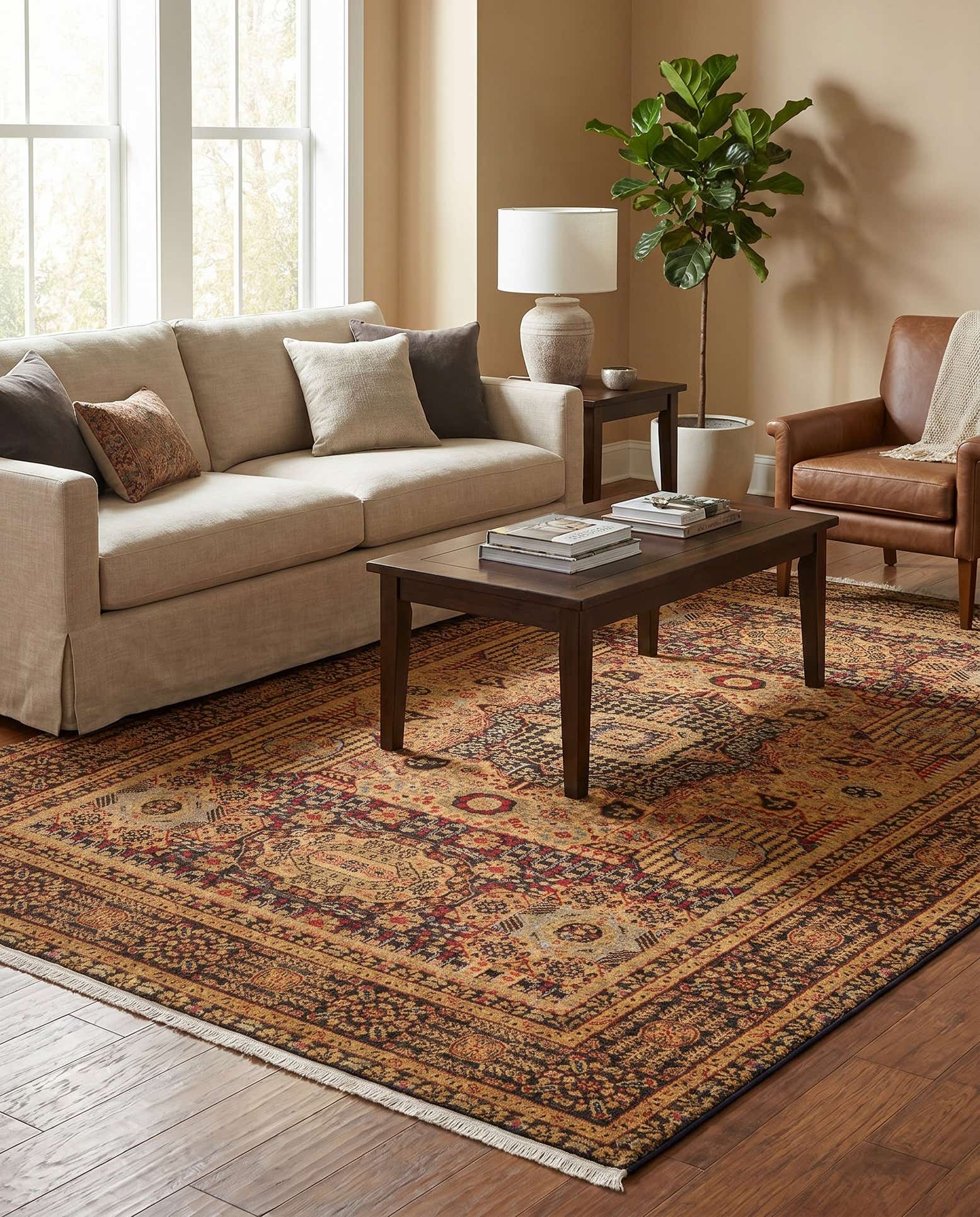 6' x 9' Amina Rug
