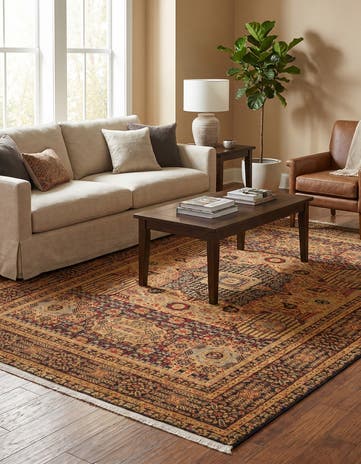 6' x 9' Amina Rug