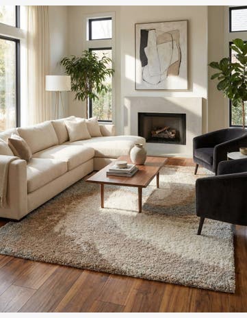 9' 10 x 13' Soft Touch Shag Rug