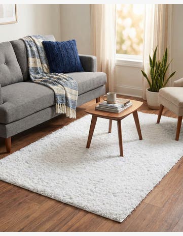 4' x 6' Everyday Shag Rug