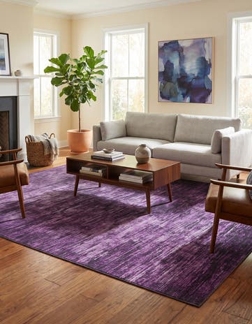 9' x 12' Asha Rug