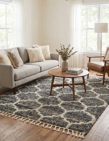 5' x 8' Athena Shag Rug
