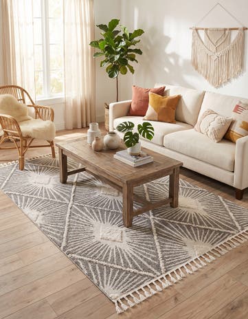 5' 3 x 8' Boho Rug