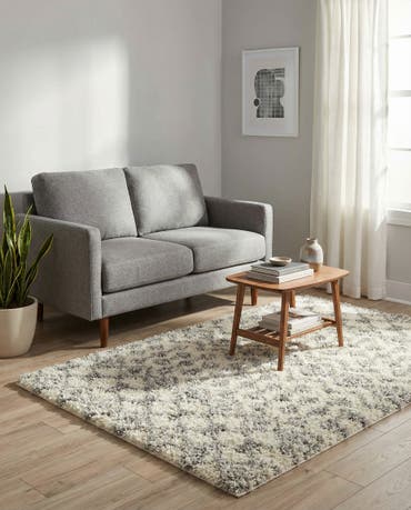  4' x 6' Moroccan Trellis Shag Rug