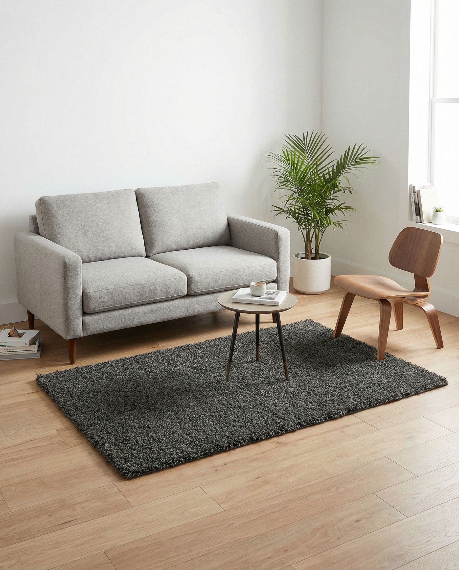 3' x 5' 3 Solid Shag Rug