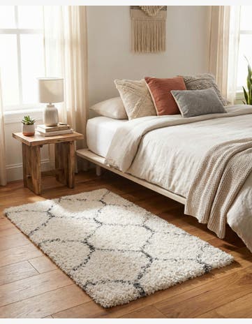 2' 2 x 3' Marrakesh Shag Rug