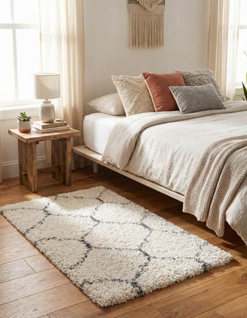 2' 2 x 3' Moroccan Shag Rug