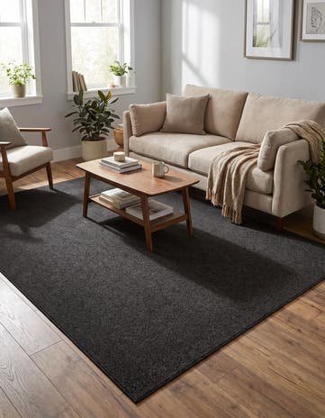 Charcoal Gray Everyday Solid Rug