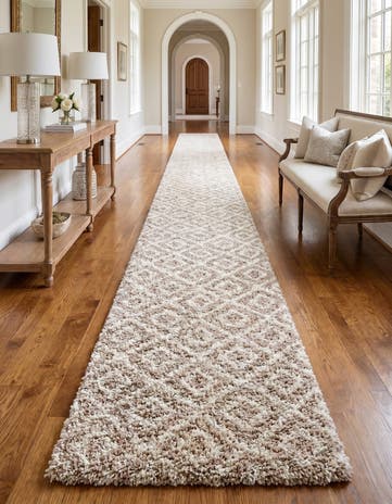 3' 3 x 16' 5 Lattice Shag Runner Rug