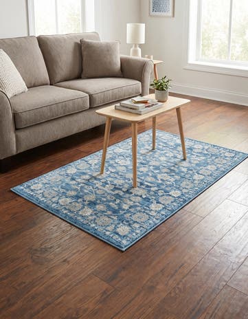 3' 3 x 5' 3 Boston Rug