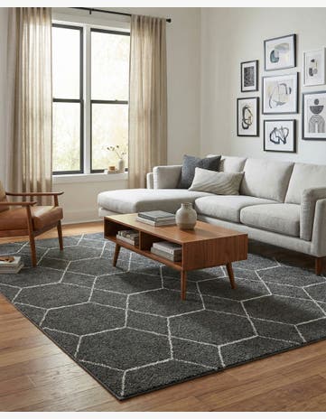 7' 10 x 10' Trellis Frieze Rug