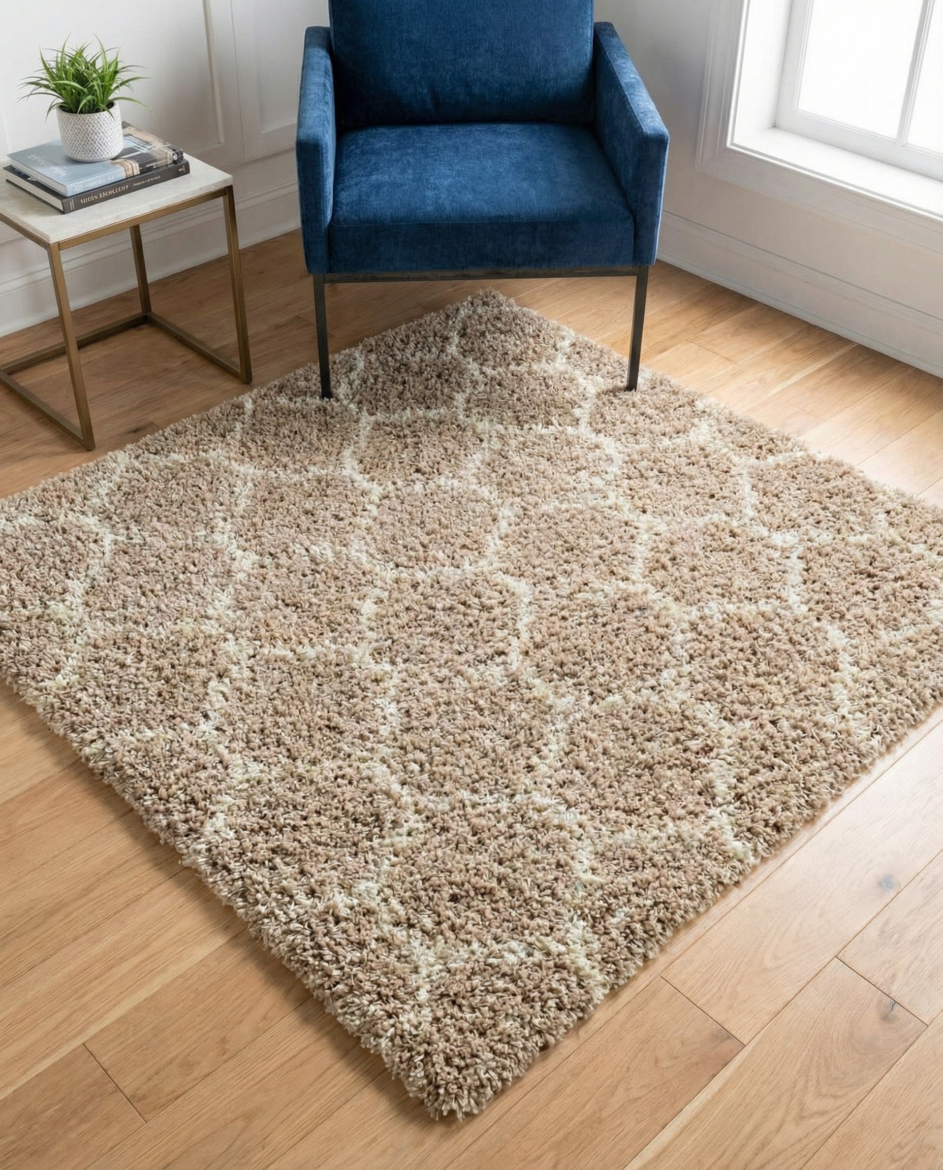 4' x 4' Trellis Shag Square Rug