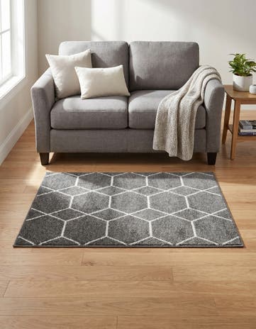 3' x 5' 3 Lattice Frieze Rug